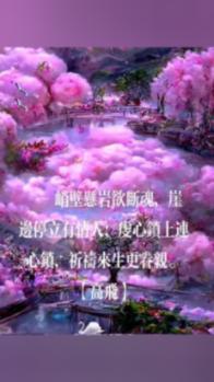 回顾女子开车追尾大哥,单手摸向大哥腰撒娇:私下解决什么都好说